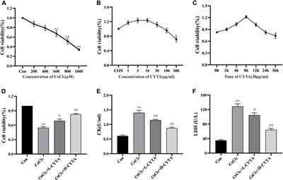 Mechanistic insights into the ameliorative effects of hypoxia-induced myocardial injury by Corydalis yanhusuo total alkaloids: based on network pharmacology and experiment verification